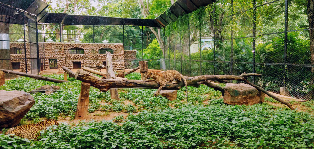 philadelphia-zoo