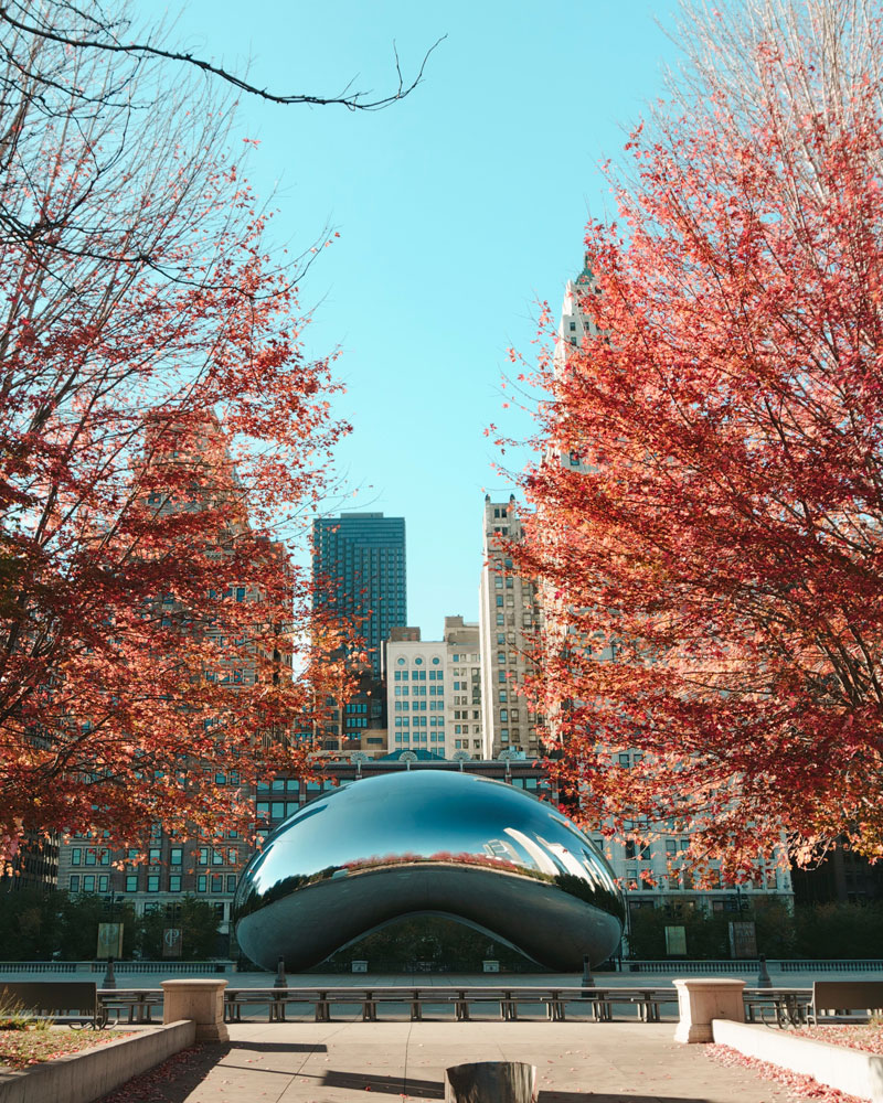 chicago-bean